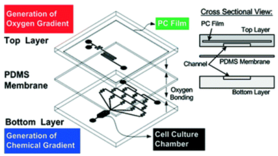 微流控.jpg 微流控.jpg