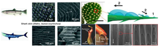 1659598912256494.jpg 1659598886979.jpg