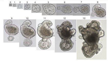 1661243500574057.png 圖片1.png