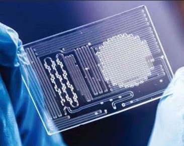 1662514731770710.png 圖片2.png