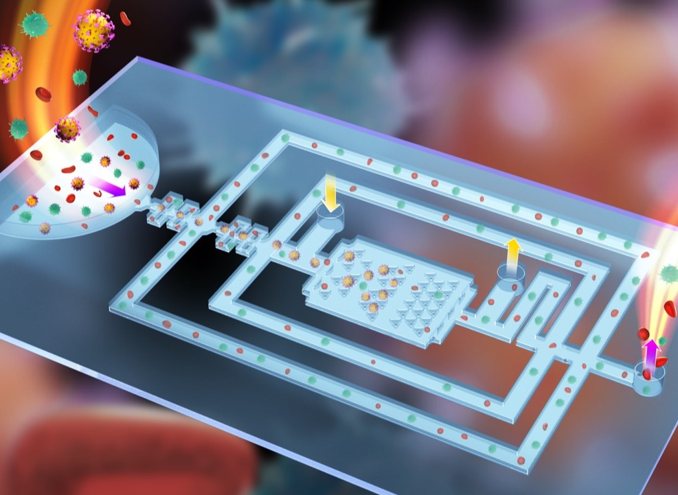 1667438619874314.png 微信截圖_20221102105129.png