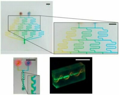 1670910026275945.png 圖片4.png