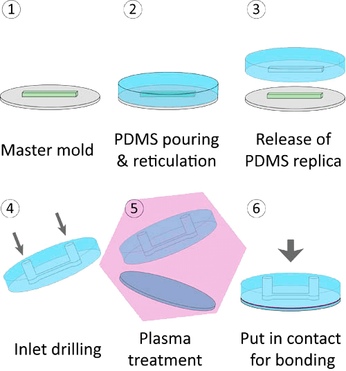 1671088931410655.png 圖片3.png