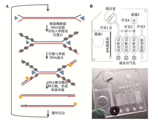1671426974223422.png 圖片6.png