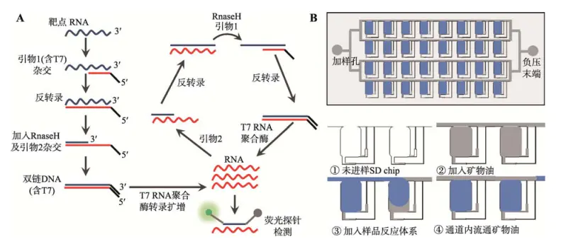 1671426983950488.png 圖片7.png