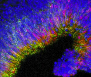 1675065582395857.png 2.png