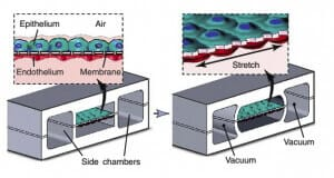 1675065794821359.png 11.png