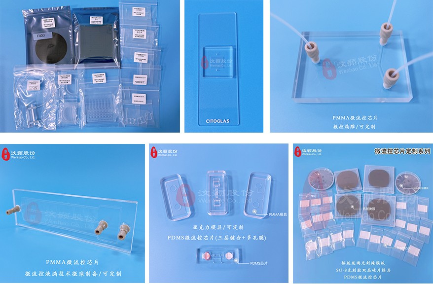 1678951399319460.jpg 芯片圖.jpg