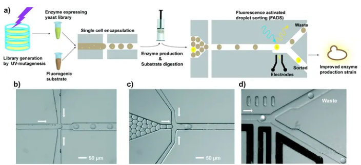 1709271458910940.png 圖片3.png