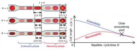 1710126949141620.png 圖片2.png