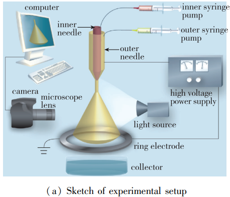 1718160262147227.png 1718160262147227.png