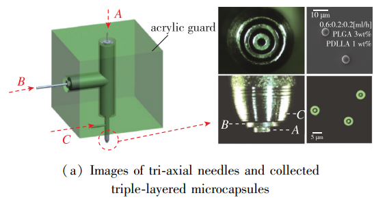 1718160302607830.png 1718160302607830.png