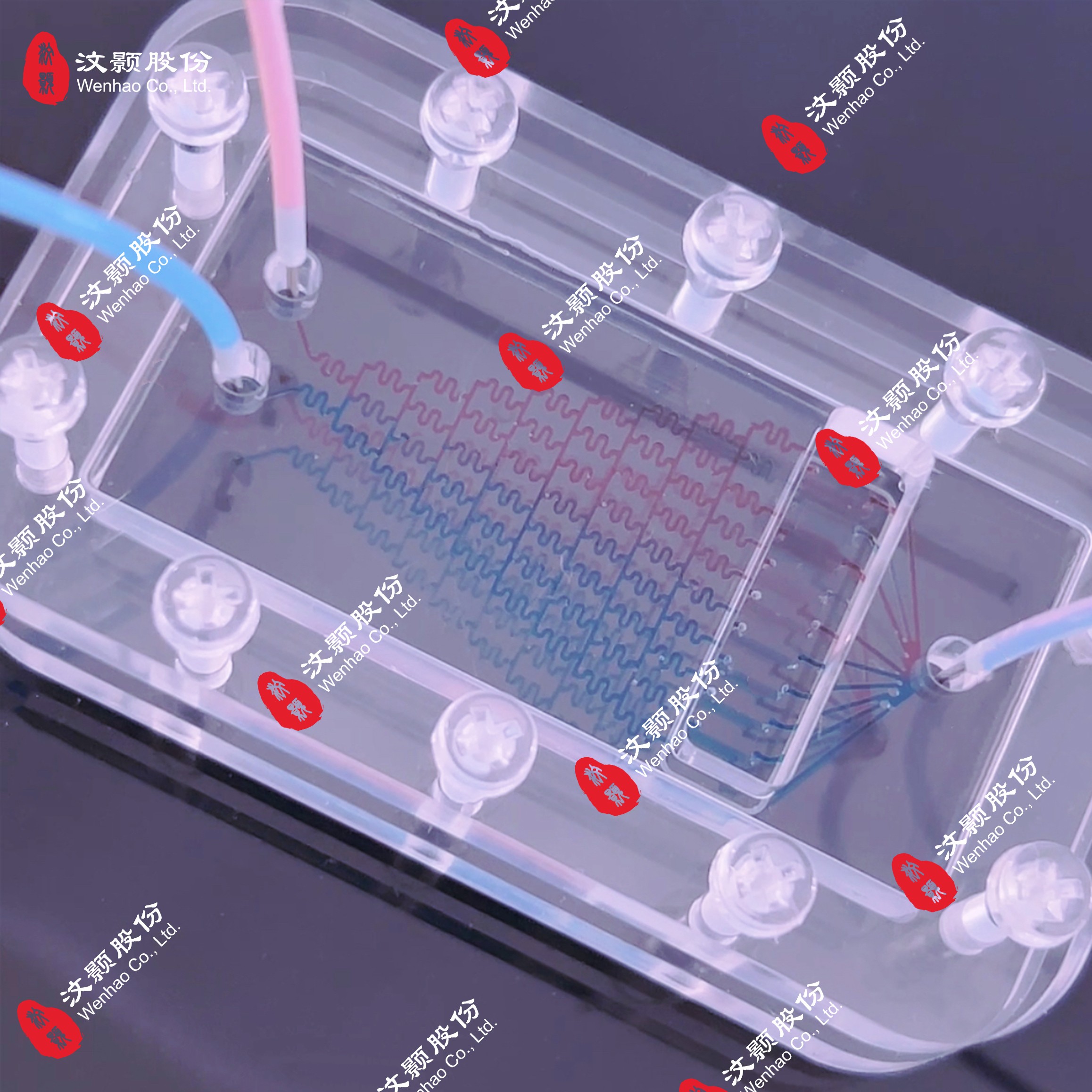 1731373309895805.jpg 1731373309895805.jpg