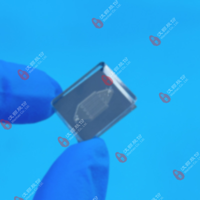 1742867830438151.jpg 20240919PDMS+硅片-徐紅梅.jpg