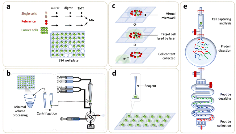 1745371228883983.png 1745371228883983.png