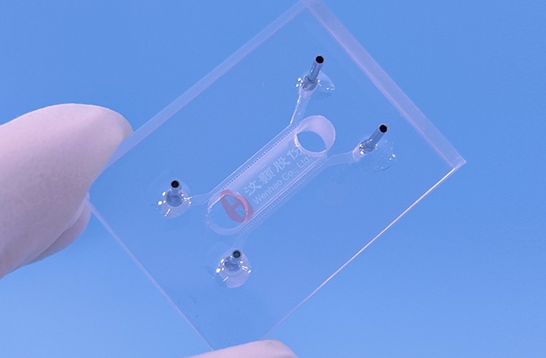 1749181056782484.png 1749181056782484.png