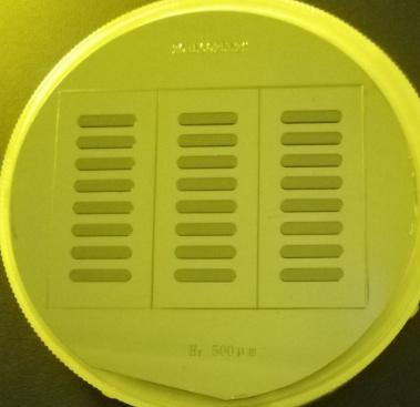 1750040307452022.jpg SU-8硅片模具介紹 (4).jpg