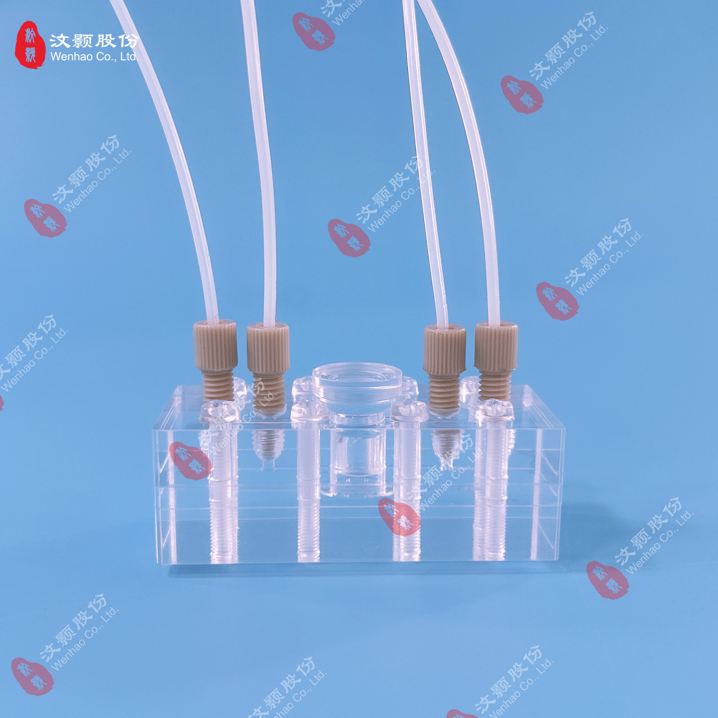 1750643519587091.jpg 1750643519587091.jpg