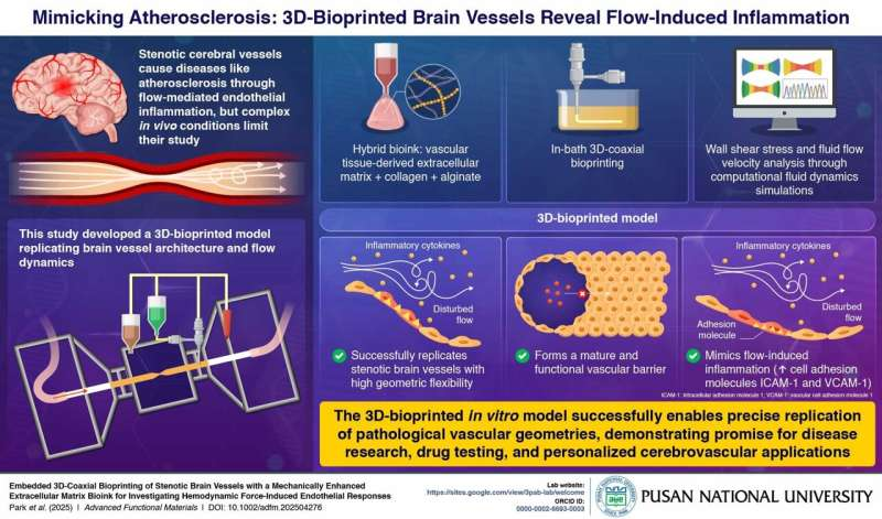 1755843128565367.png 1.png