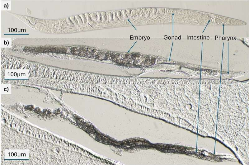 1756266045300932.png 圖片1.png