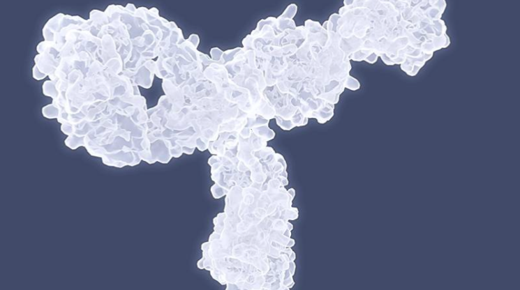 1772695640391765.png 5b736700985c6180e73e204b491ff7de.png