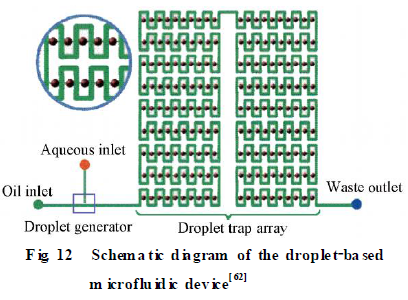 微流控芯片|通用實驗室